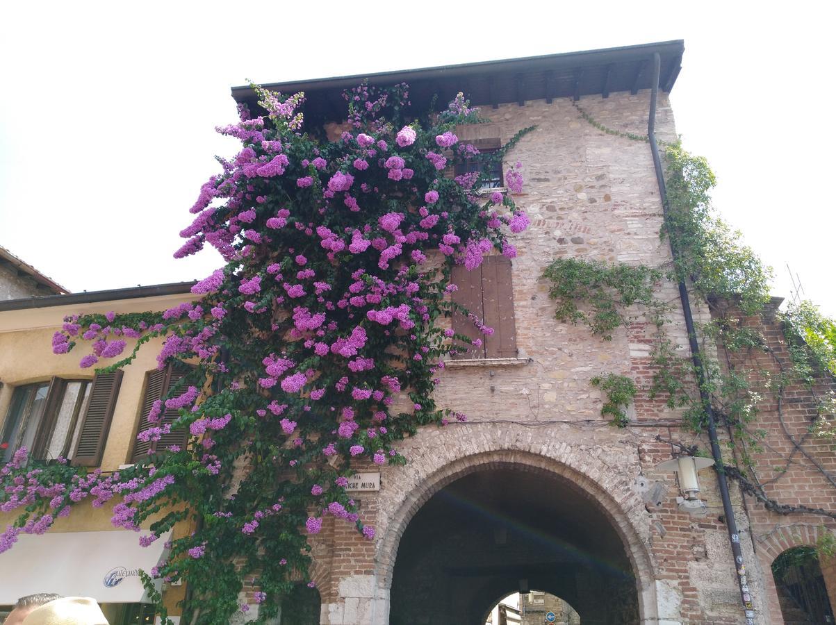 Villa Elisea Sirmione Exterior photo